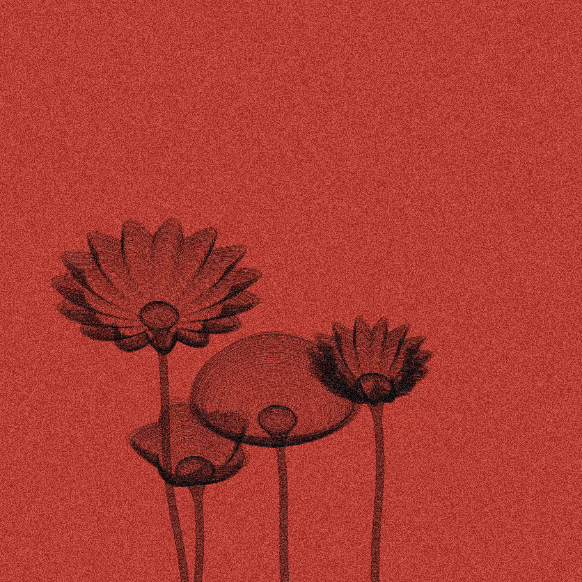 Code Flowers #54