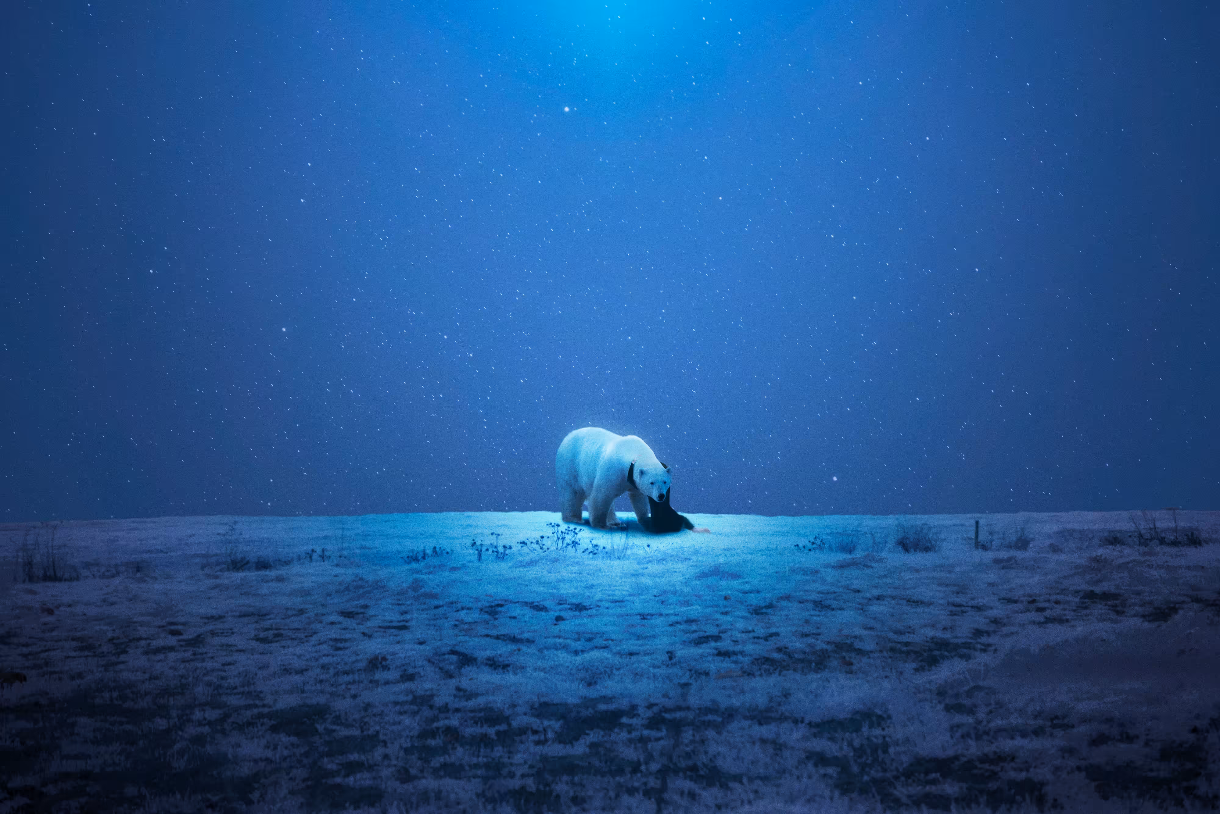 Solitude