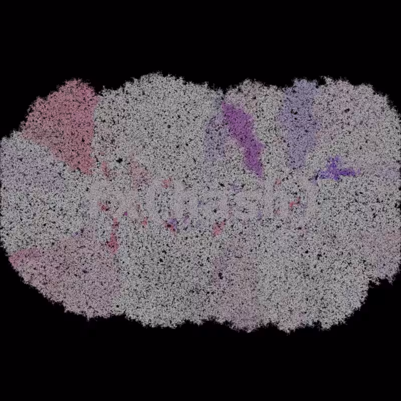 FXHASH Generative Logo #207