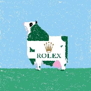 cow #64