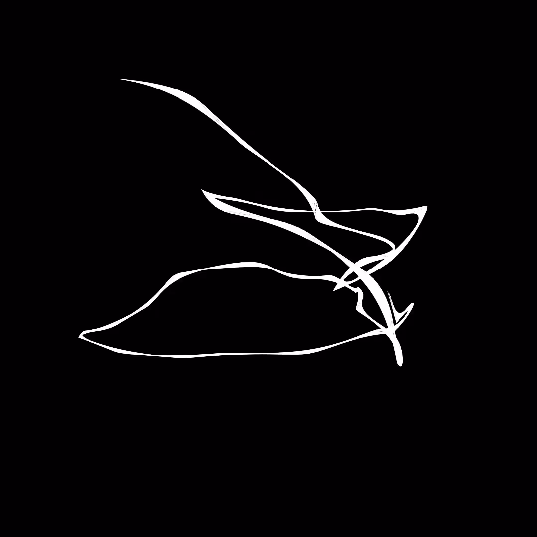 What do you see? #31