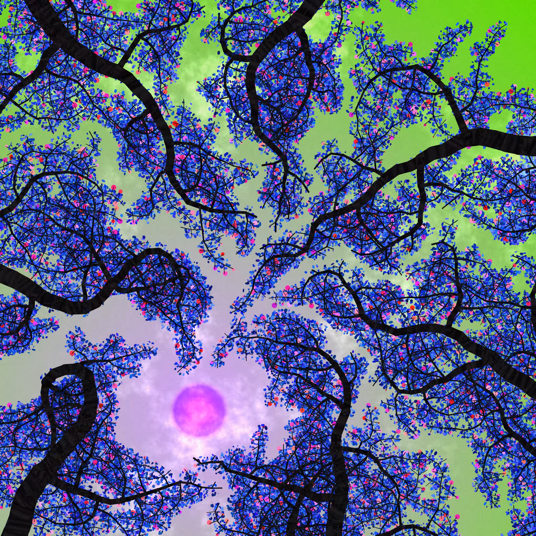 Tree Skyness #200