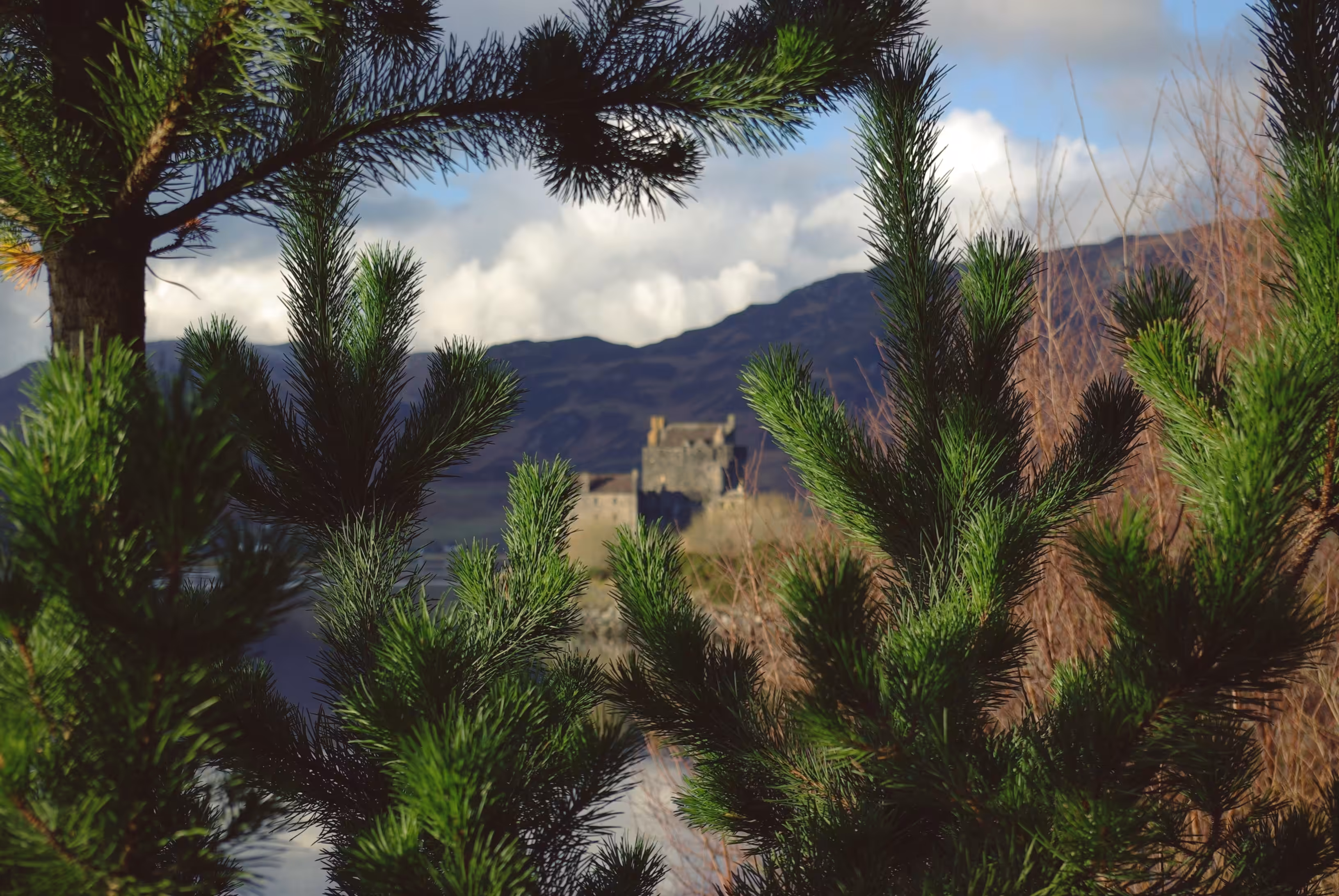 Scouting the Fortifications