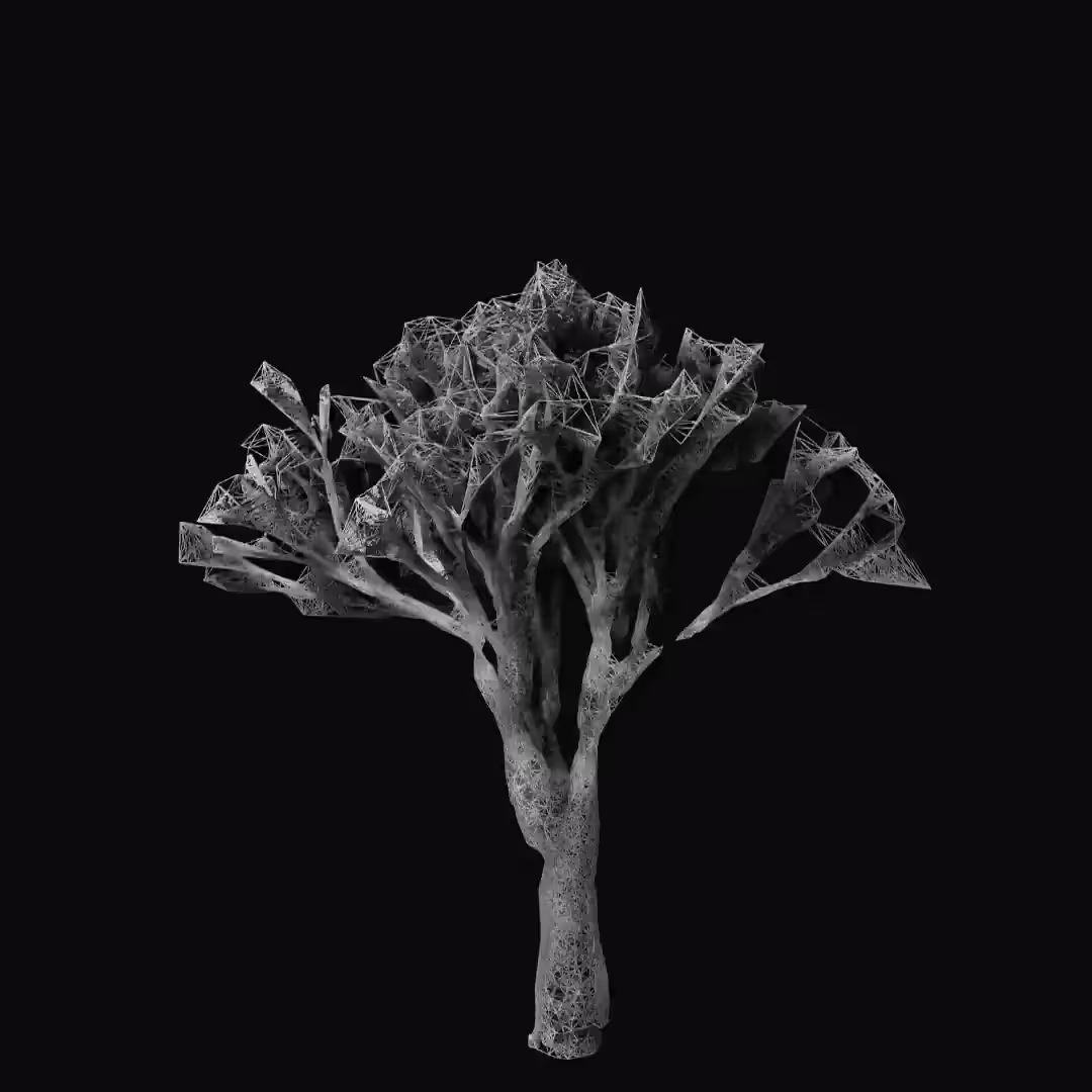 Broken Tree