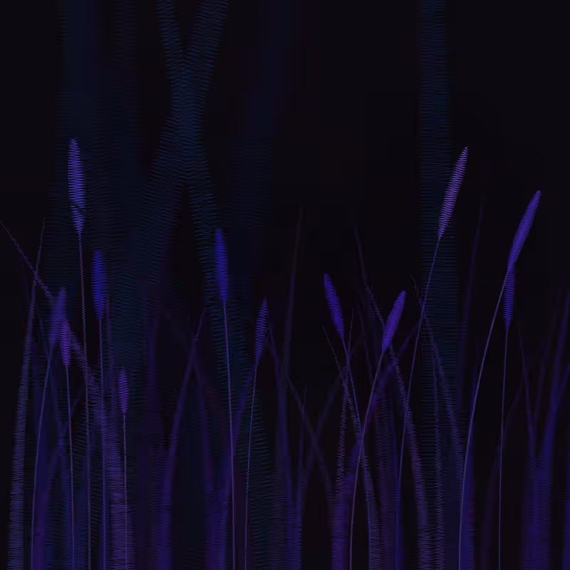 ZigZag Garden #53