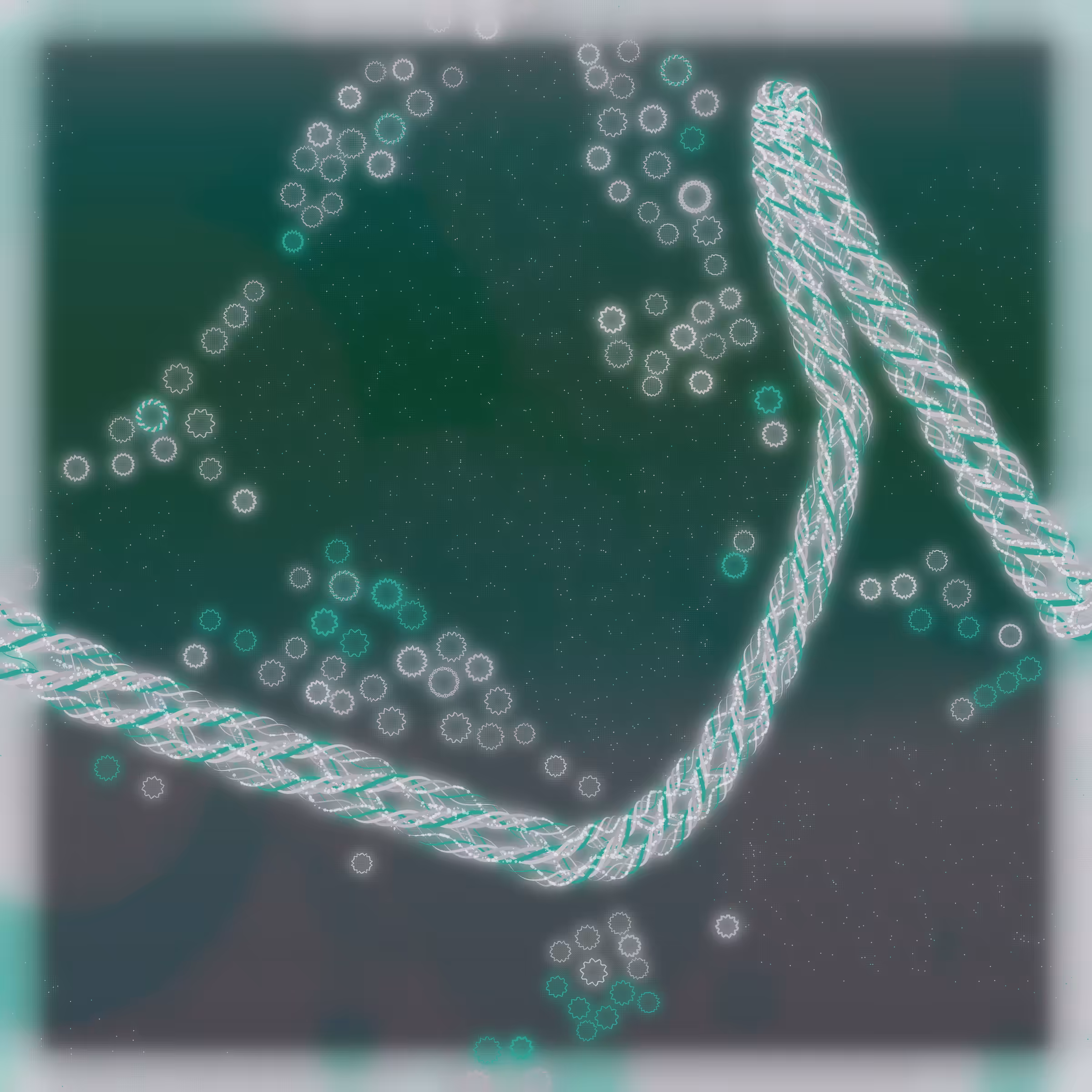 Friendship Bracelets #12084