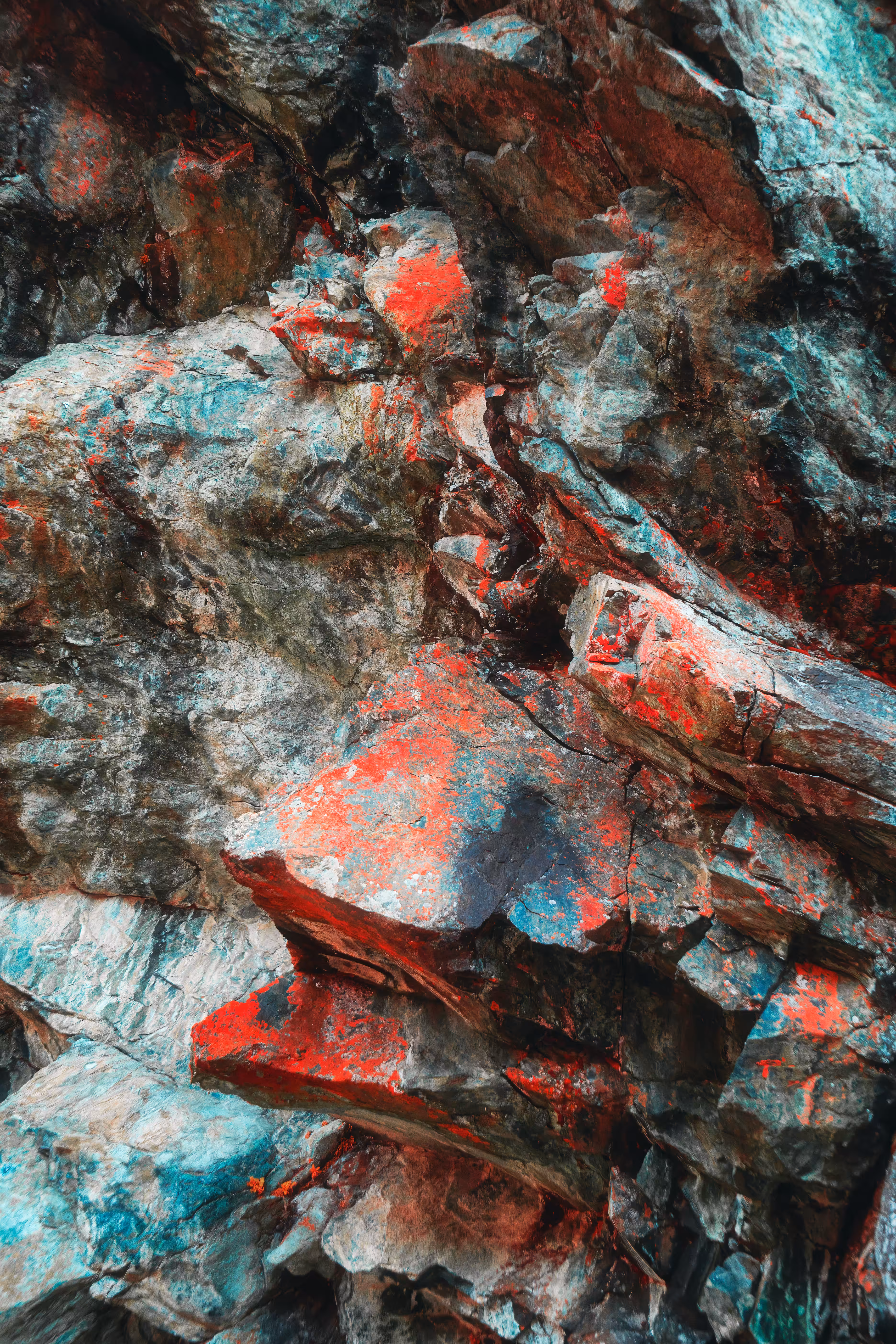 Nature’s Artistry