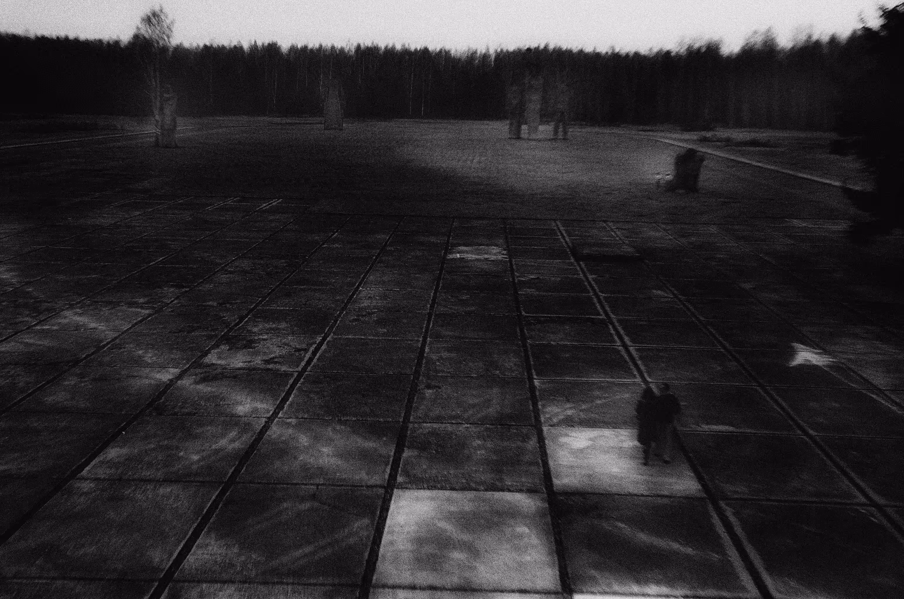 untitled (wane)