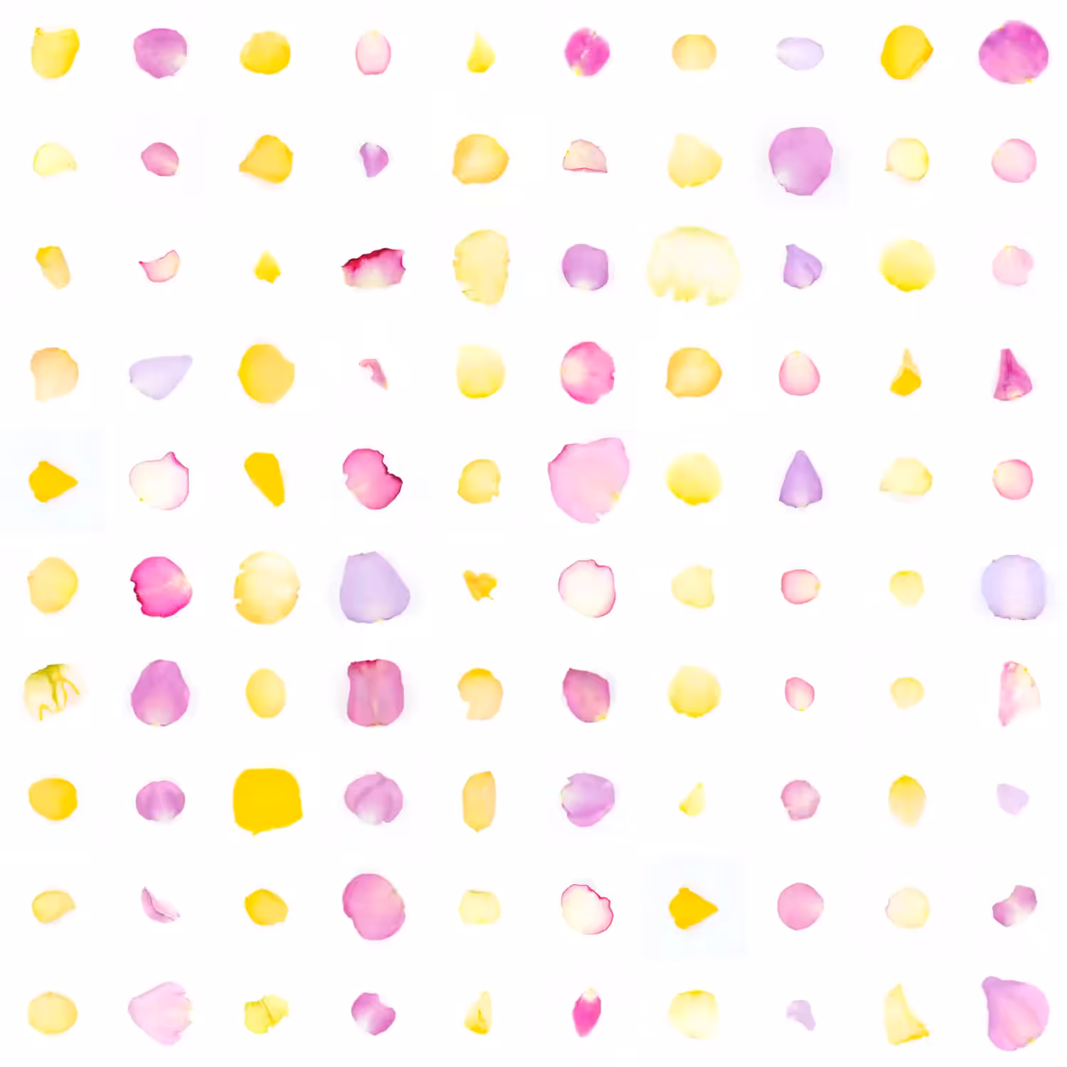 Infinite Petals 10x10#2955