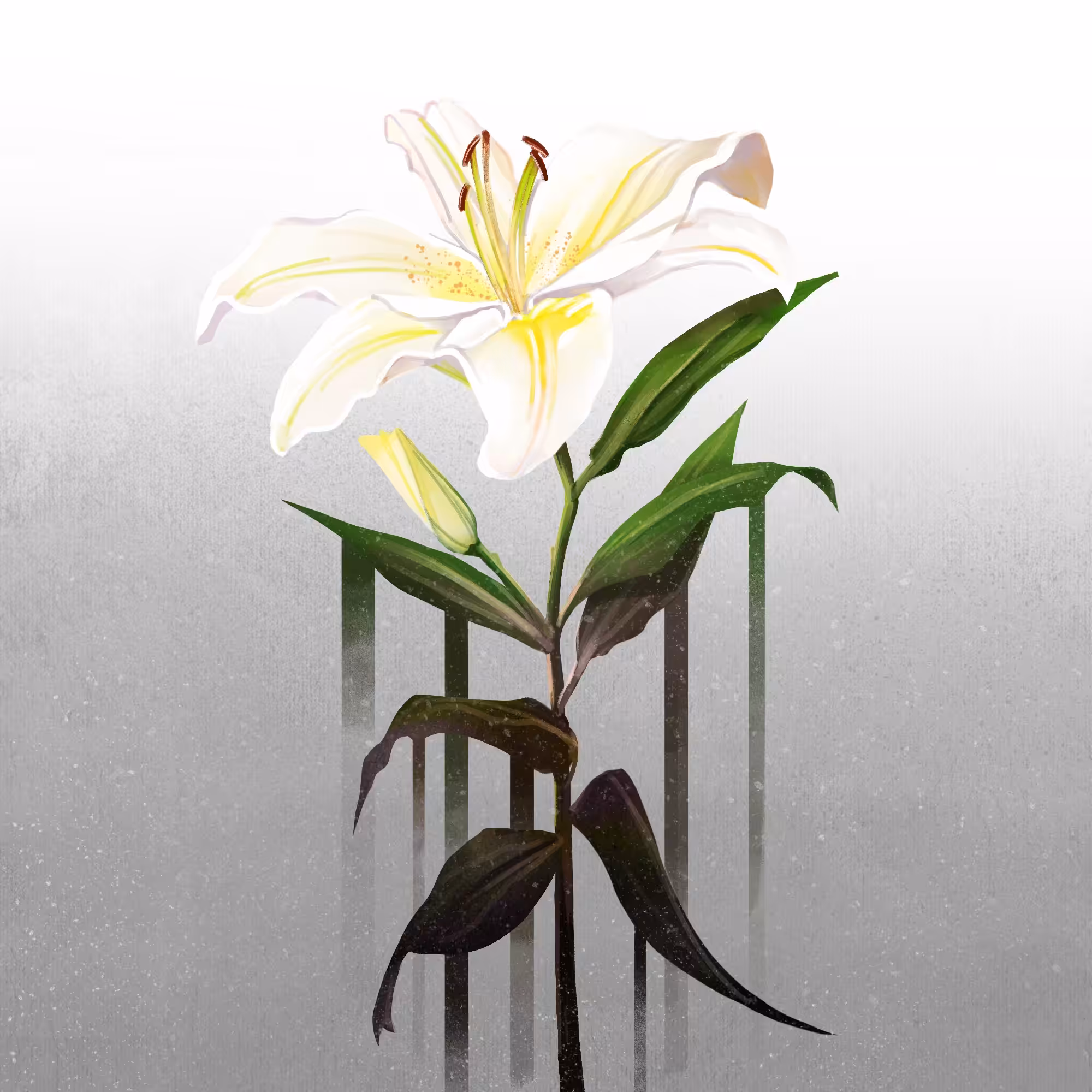 00:00:02 - Lily