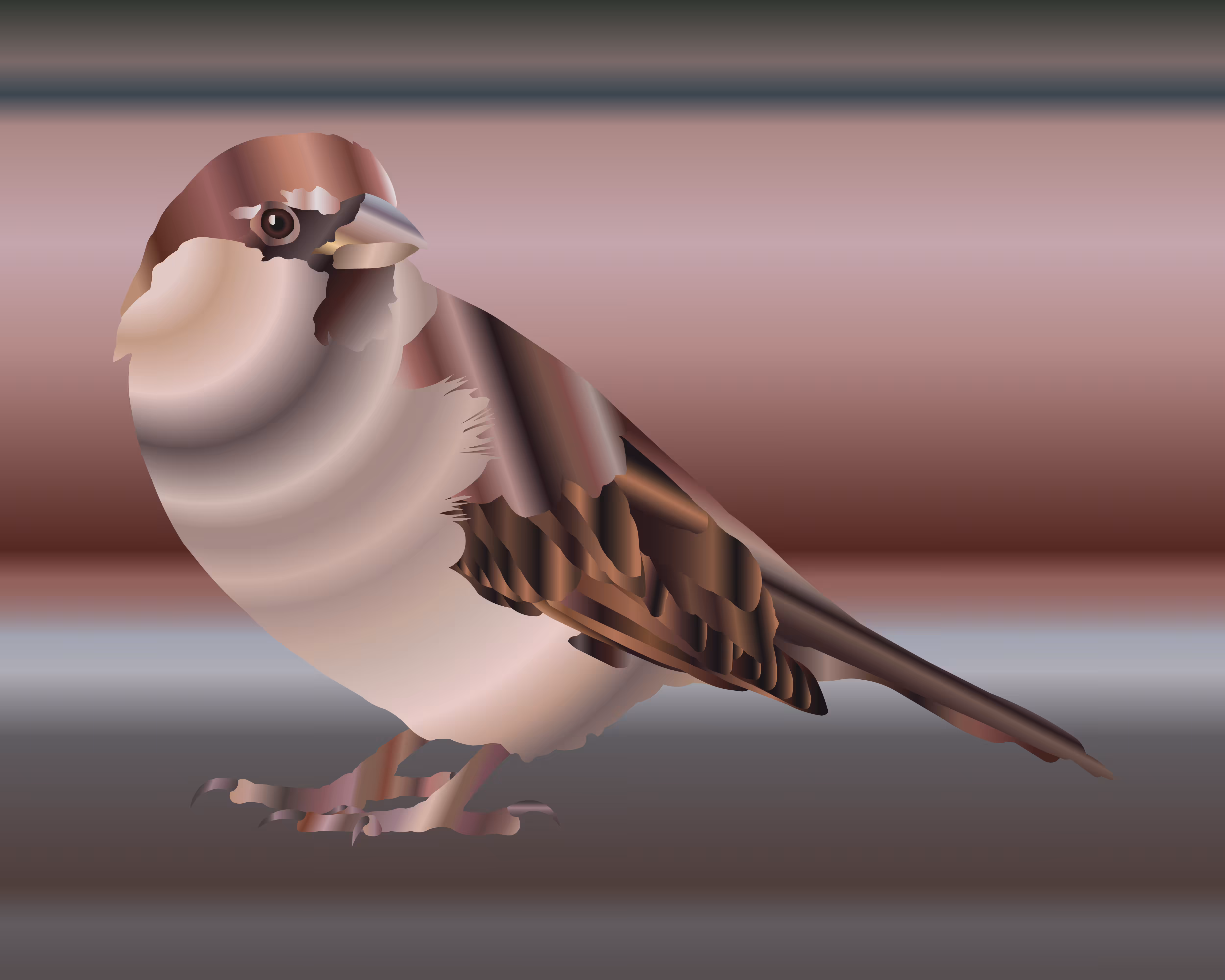 Sparrow Jack