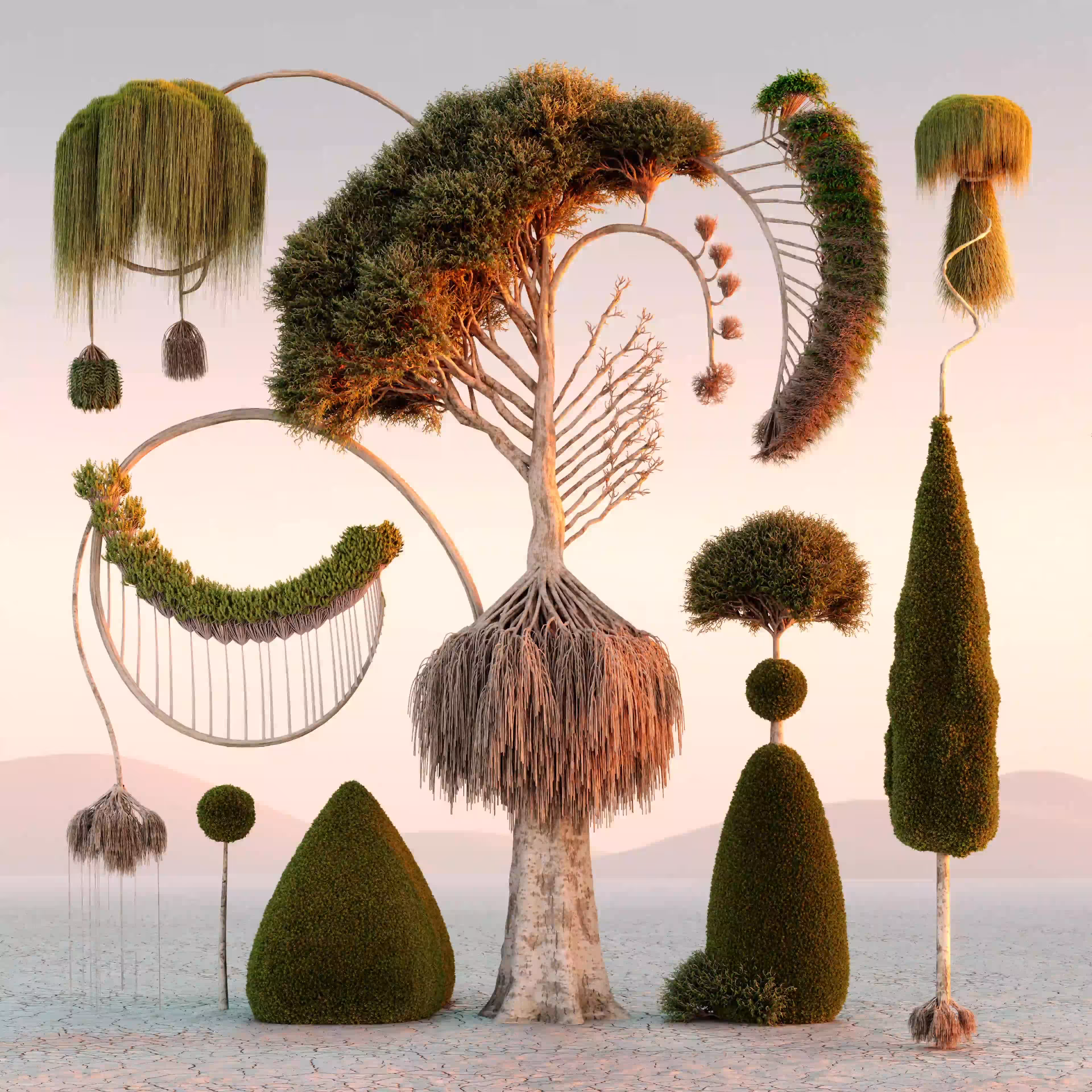 Natural Balance S #11/11