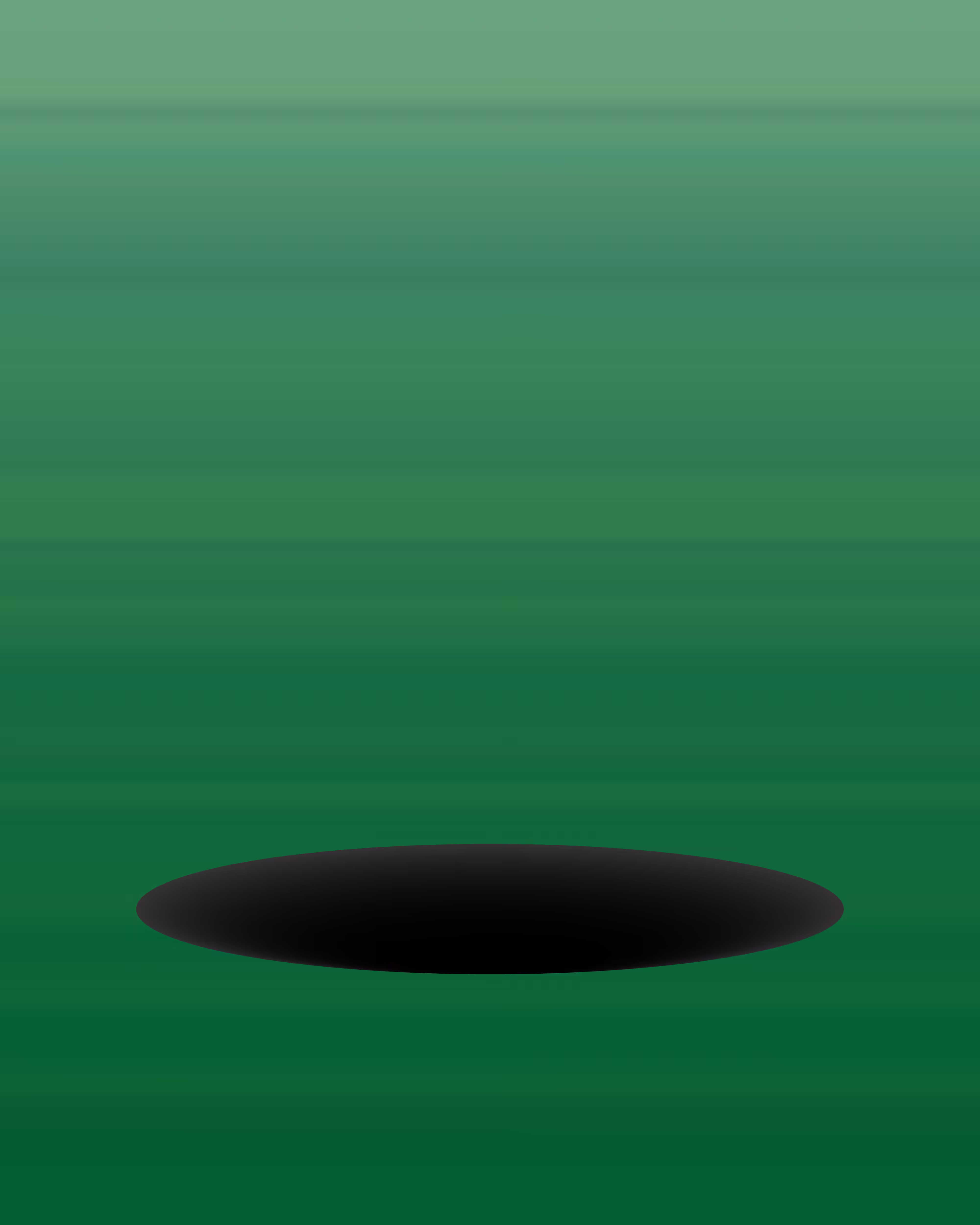 Black hole
