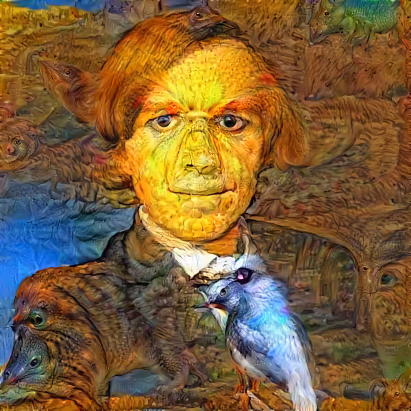Danny Van Gogh