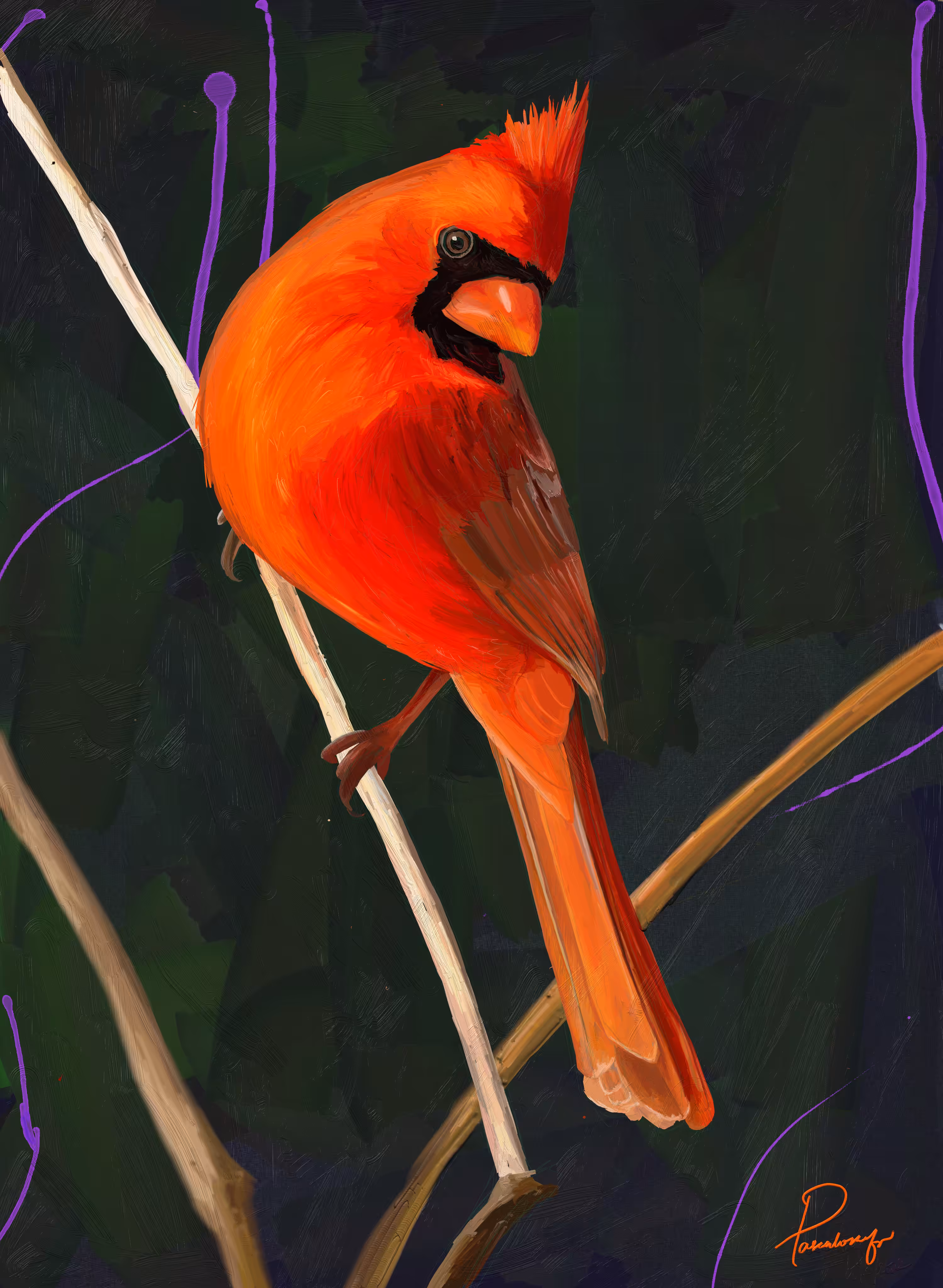 Cardinal Bird