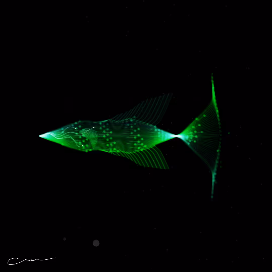SoulFish #243
