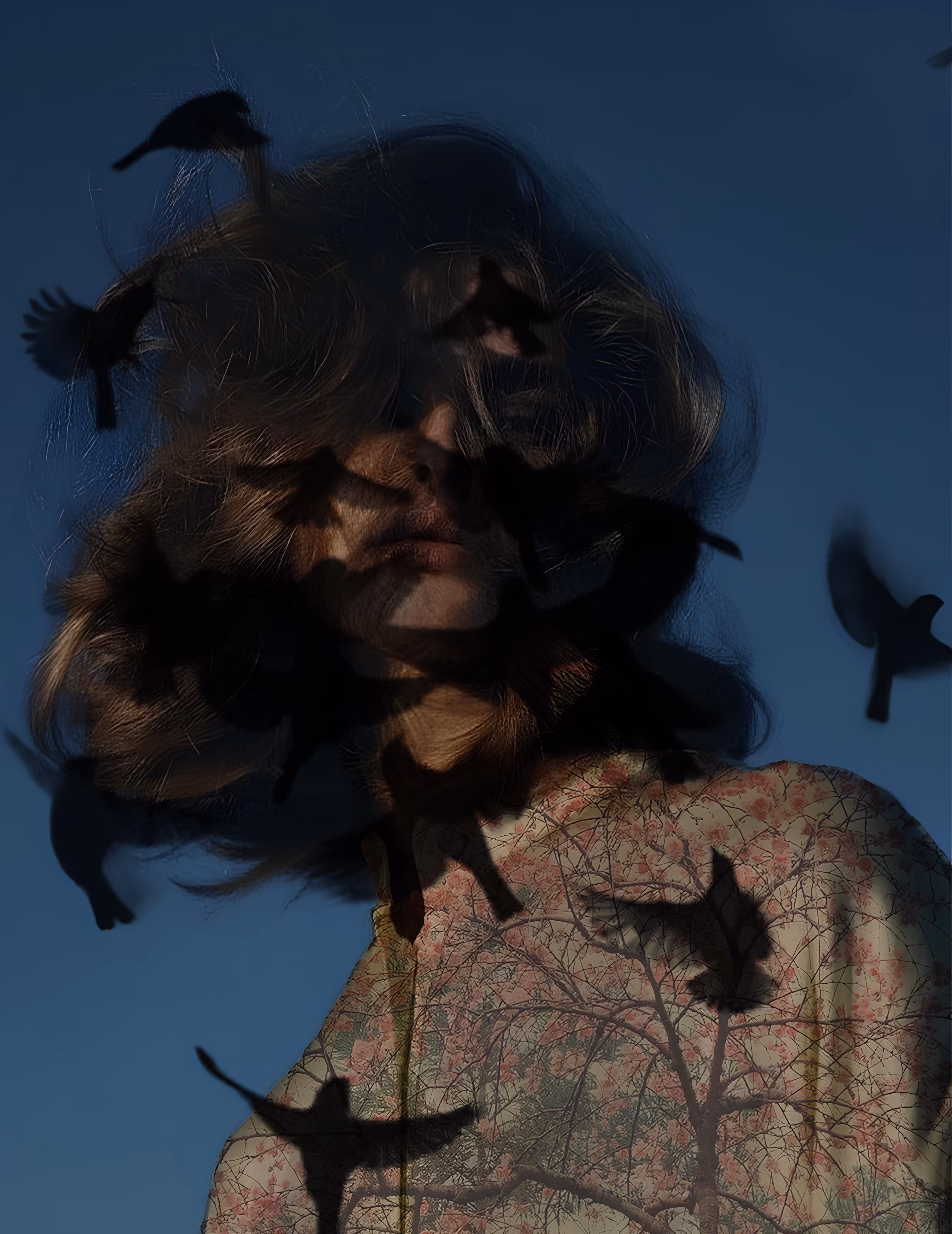 The Birds I Carry