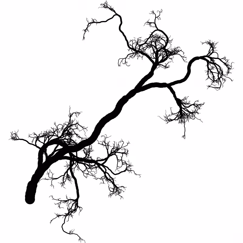Tree 01 #73