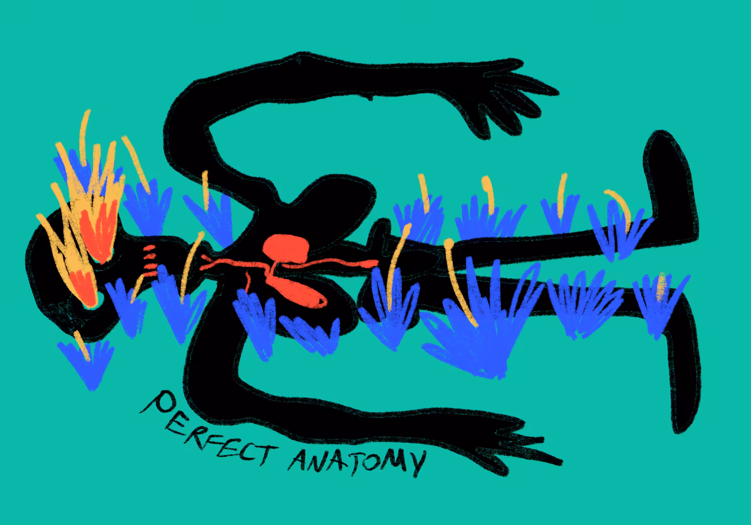 Perfect Anatomy