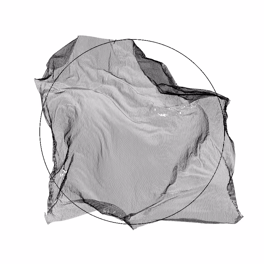 Fibril #509