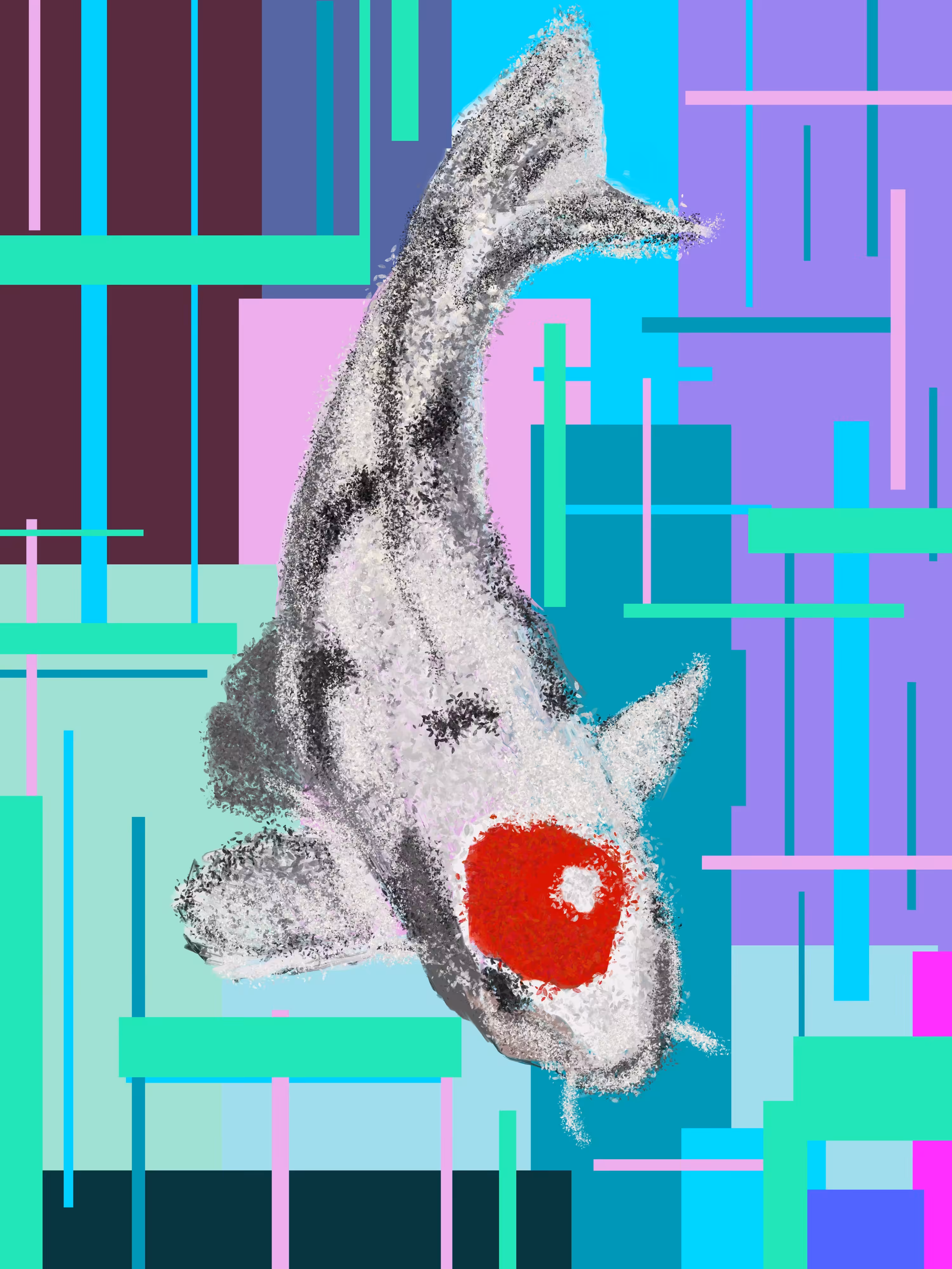 Carp