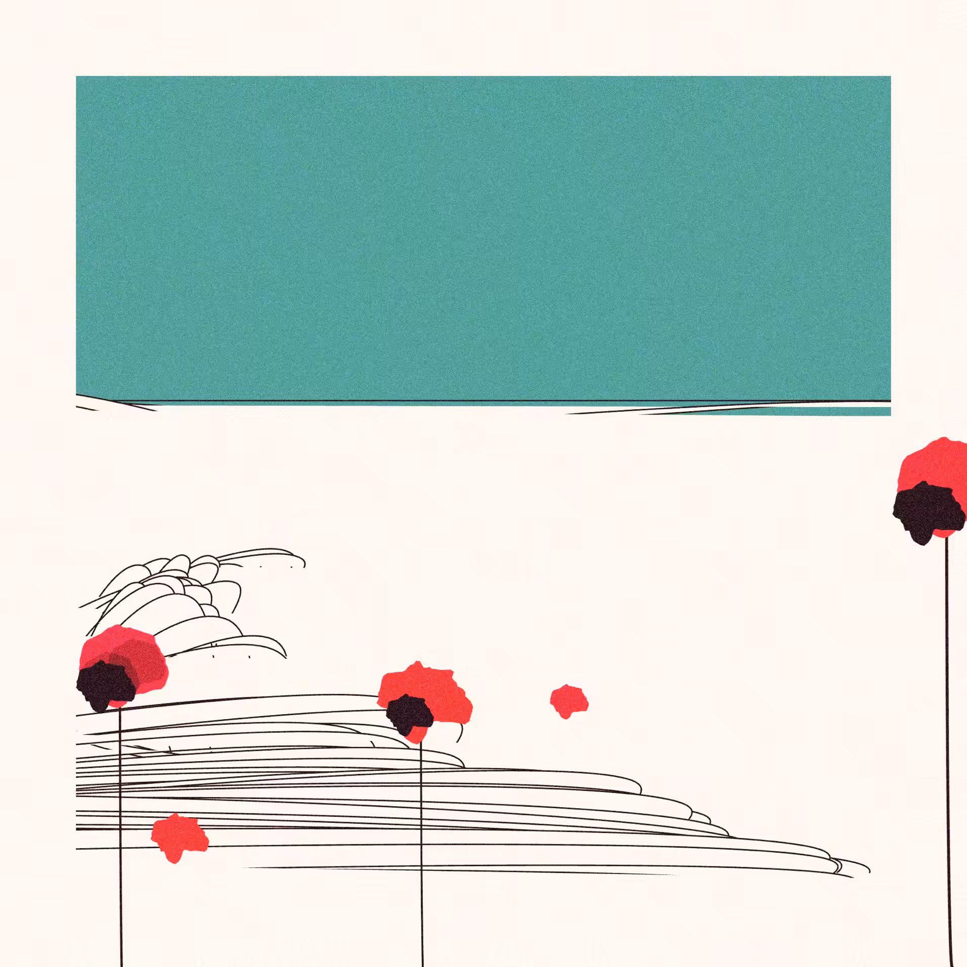 Poppies of Normandy
