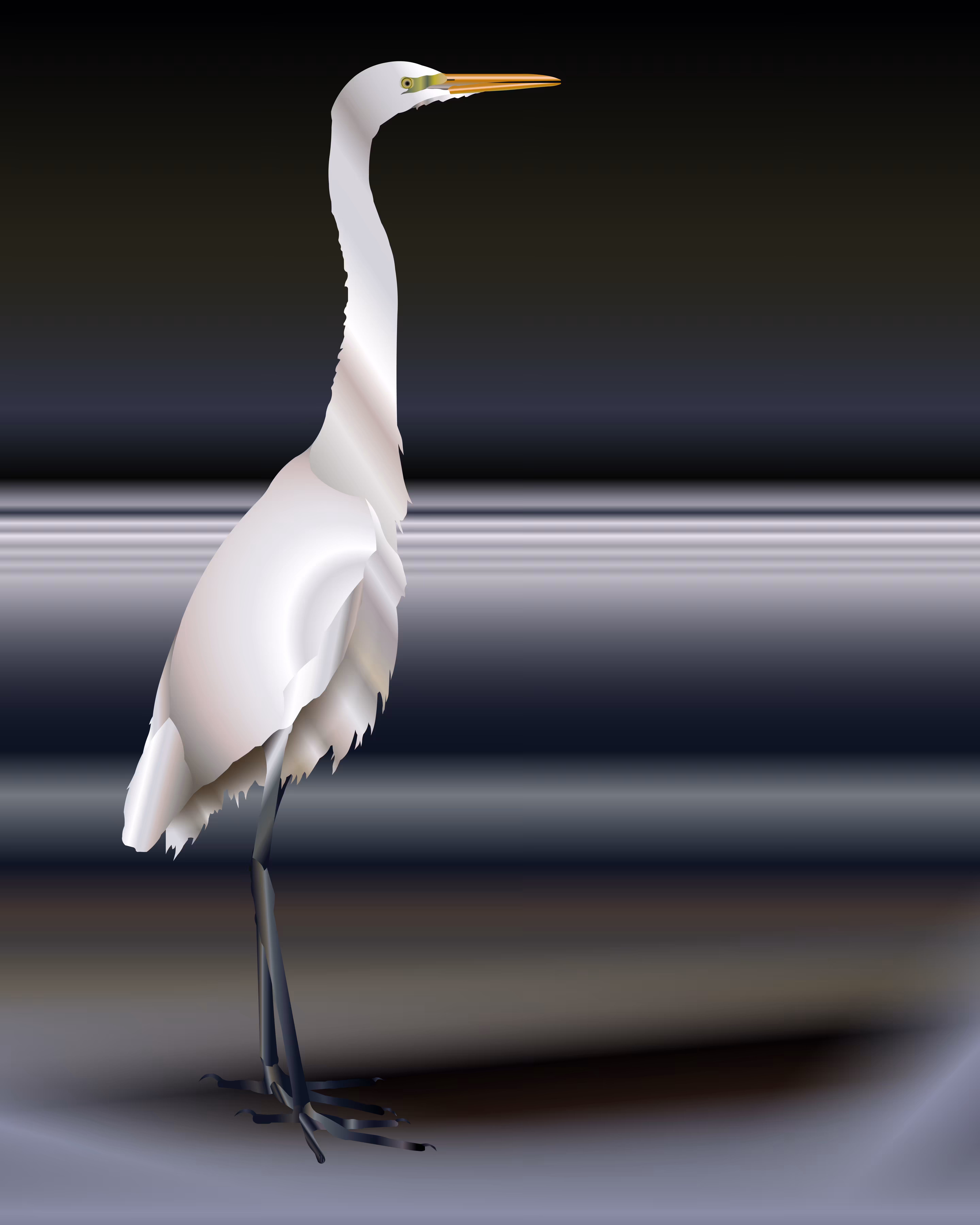 The white heron