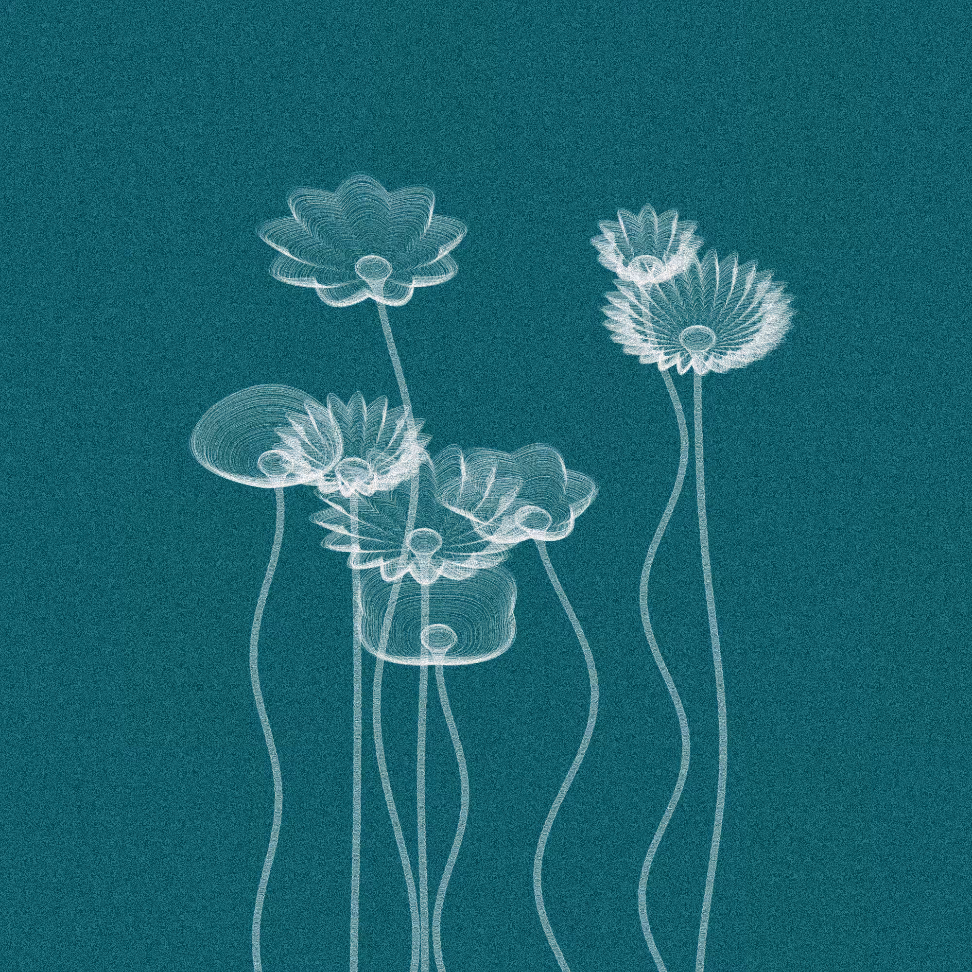 Code Flowers #2