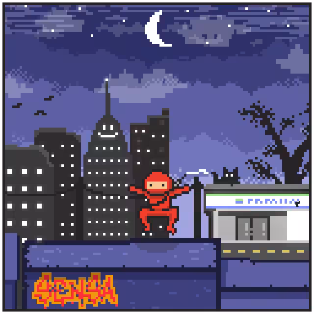 City Ninjaz #19
