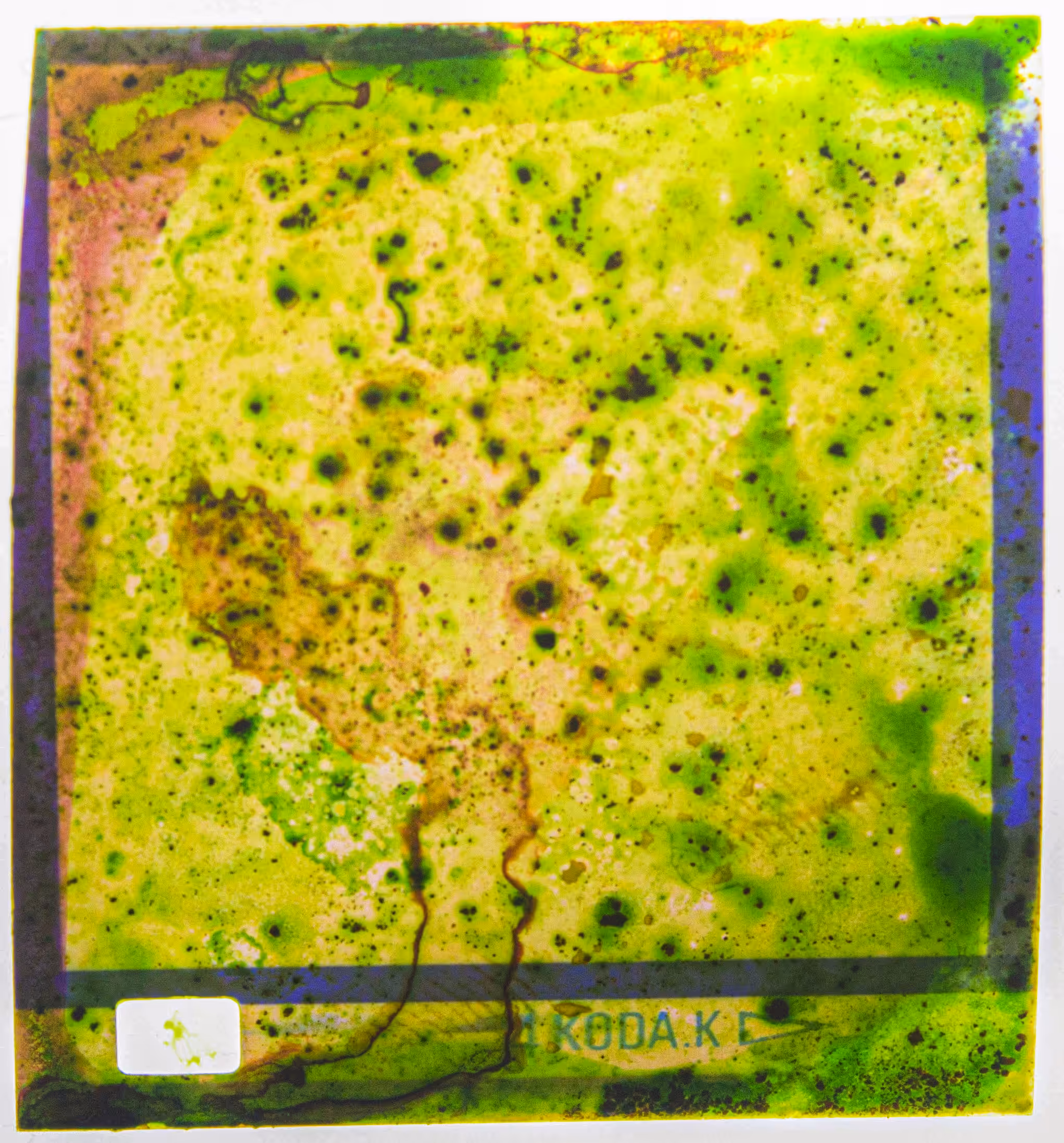 Virus #126mm