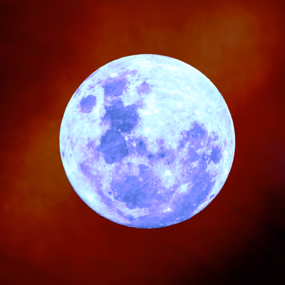 -<Beta Moons>- #18