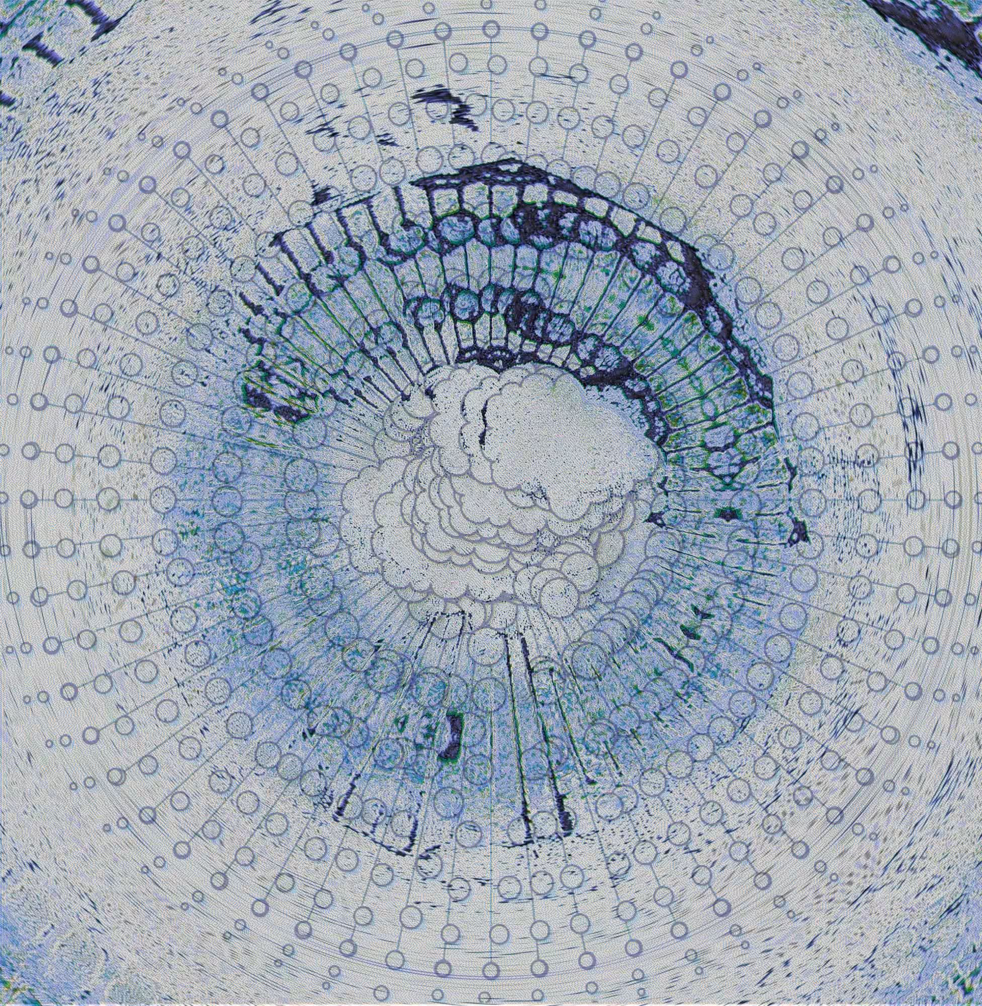 Sedserio: A Rapid Unscheduled Disassembly Of The Sky