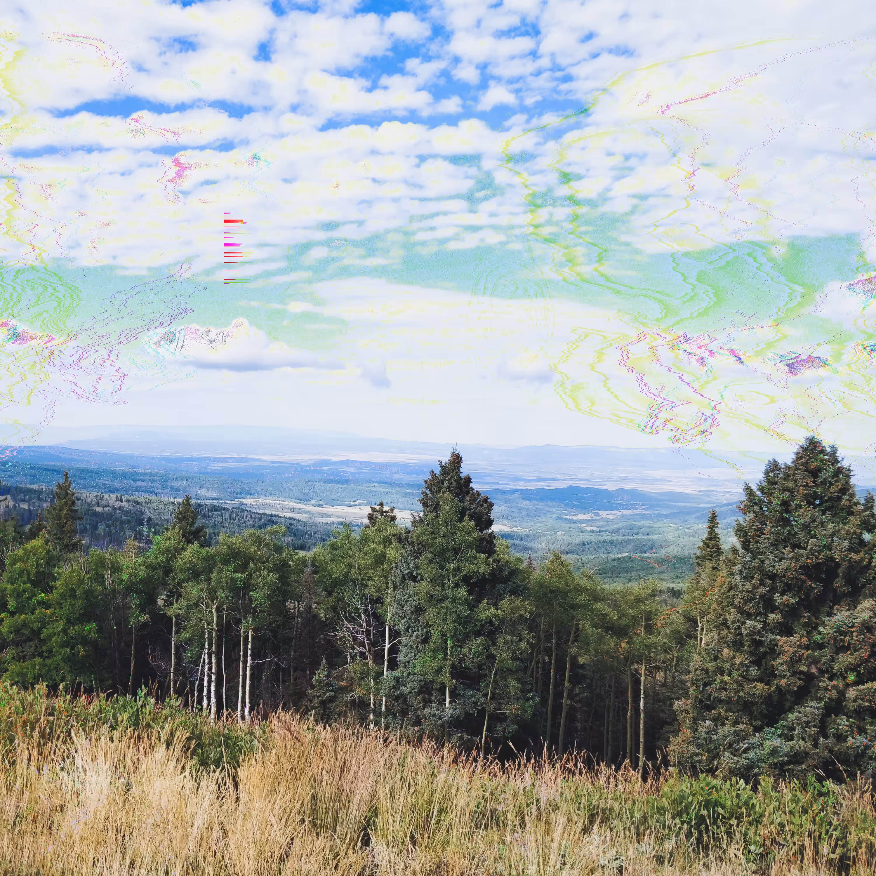 scenic scribbles