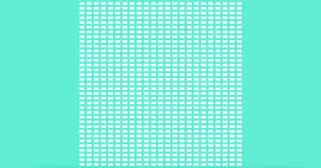 Day 1: Windows