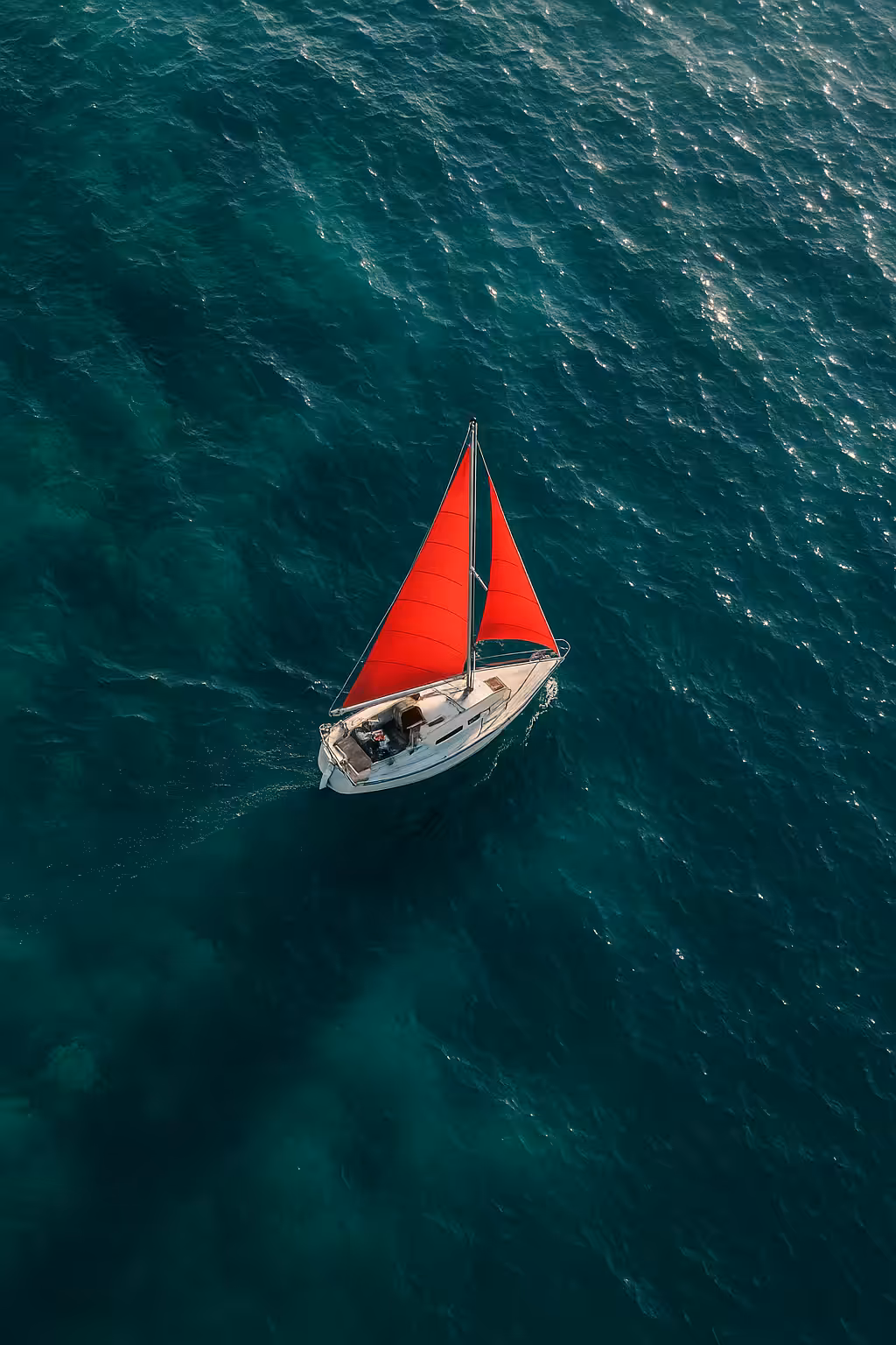 Rodeo posts: ⛵