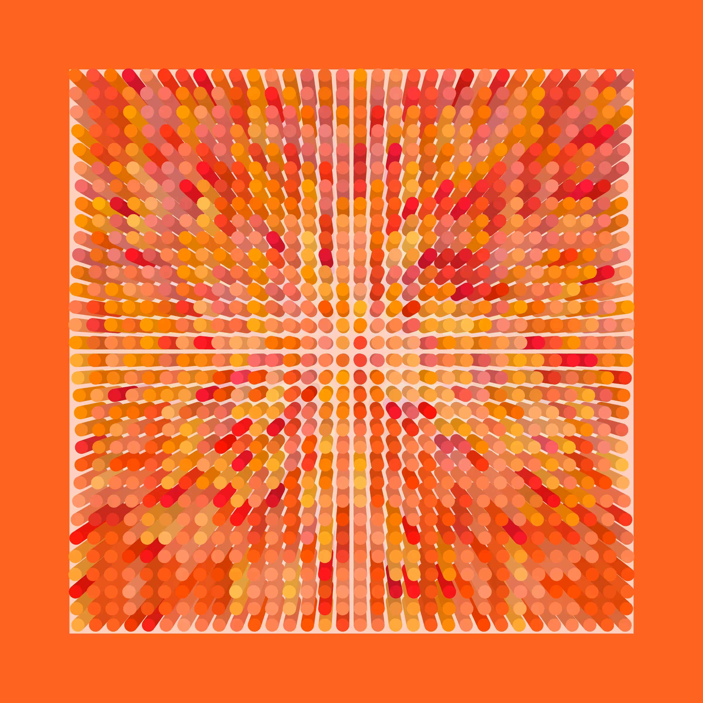 Transitions #113
