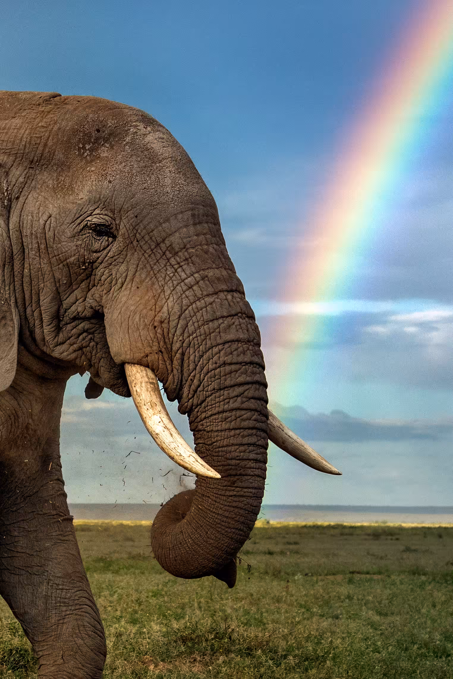 The Rainbow-Eater