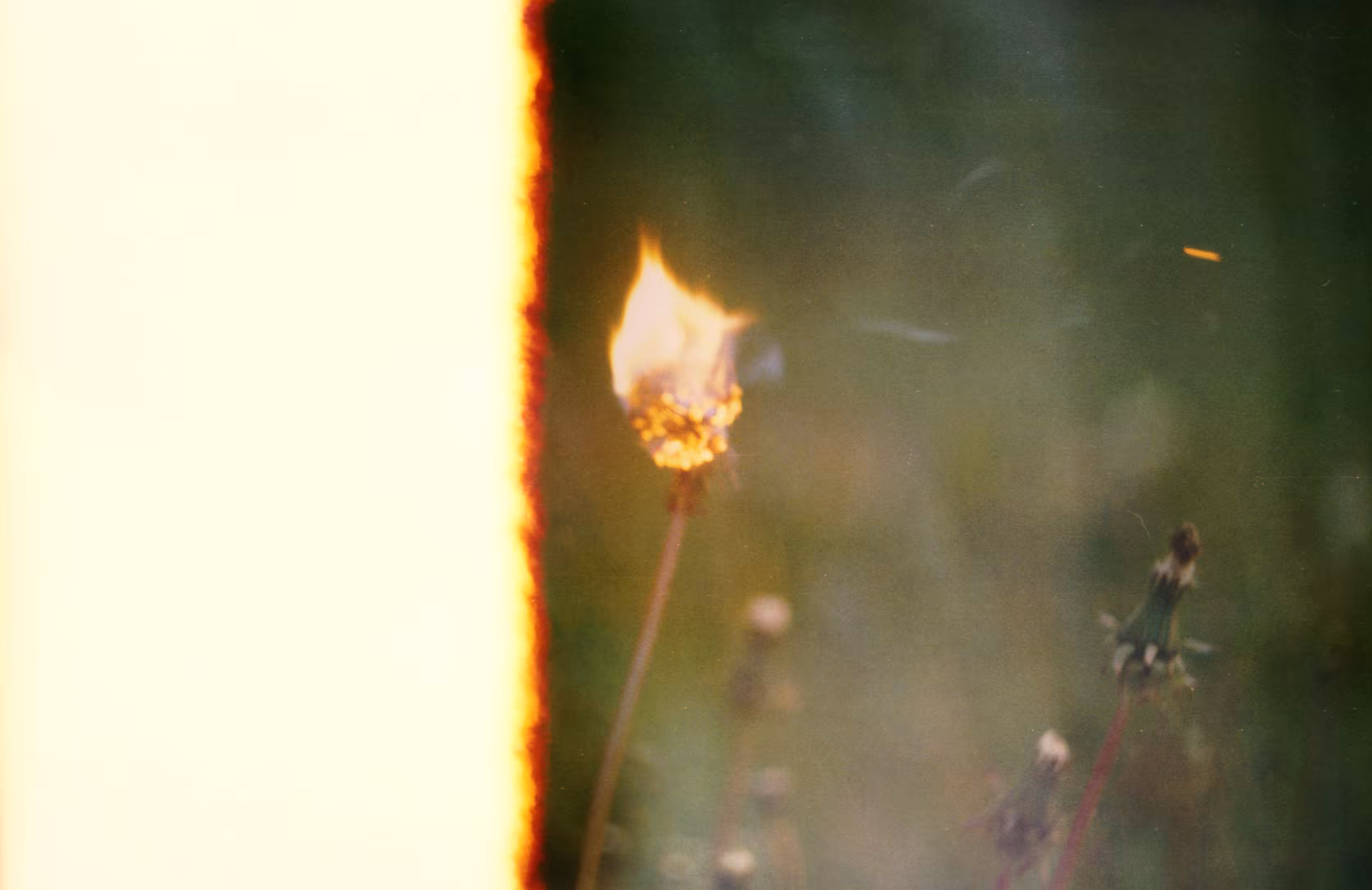 ablaze