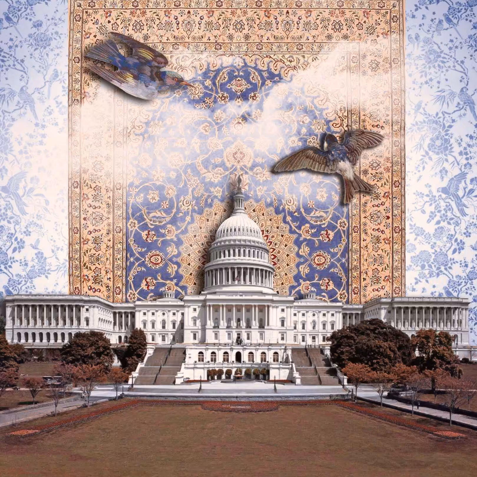 AC- Moonlight at The Capitol
