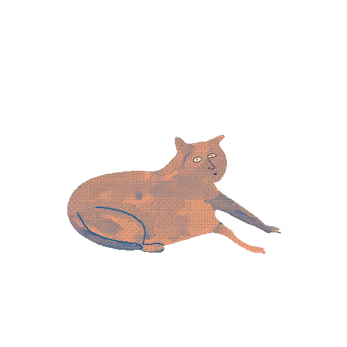gato
