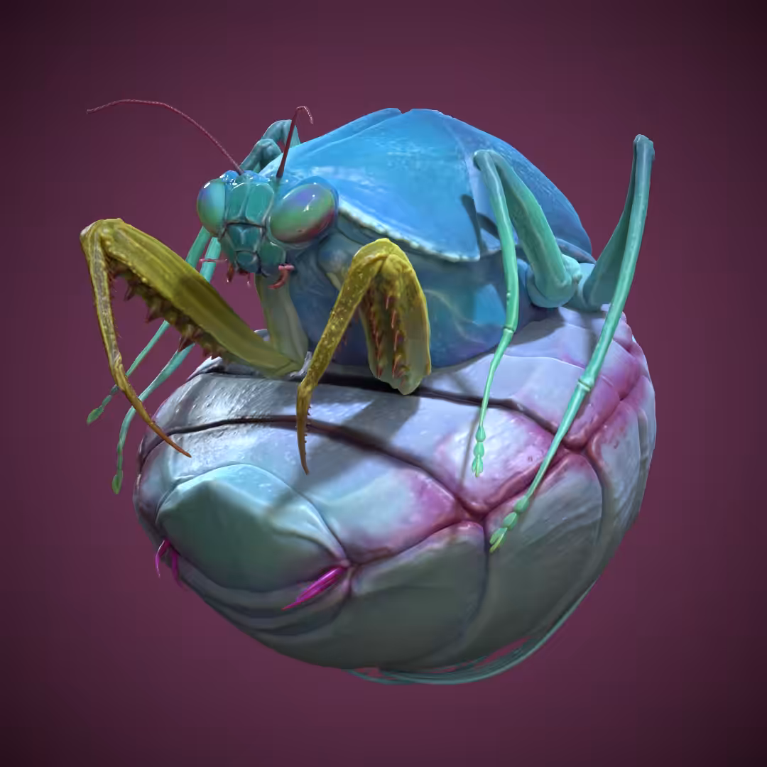 Blue Mantis
