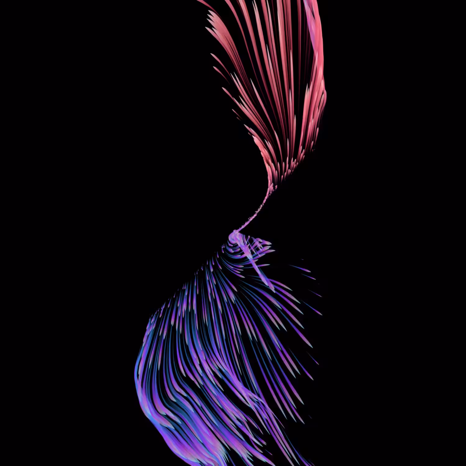 Vortex #239