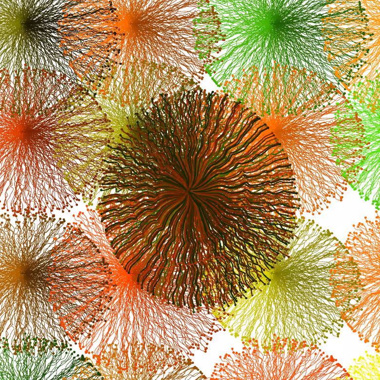 CircuWeb #9