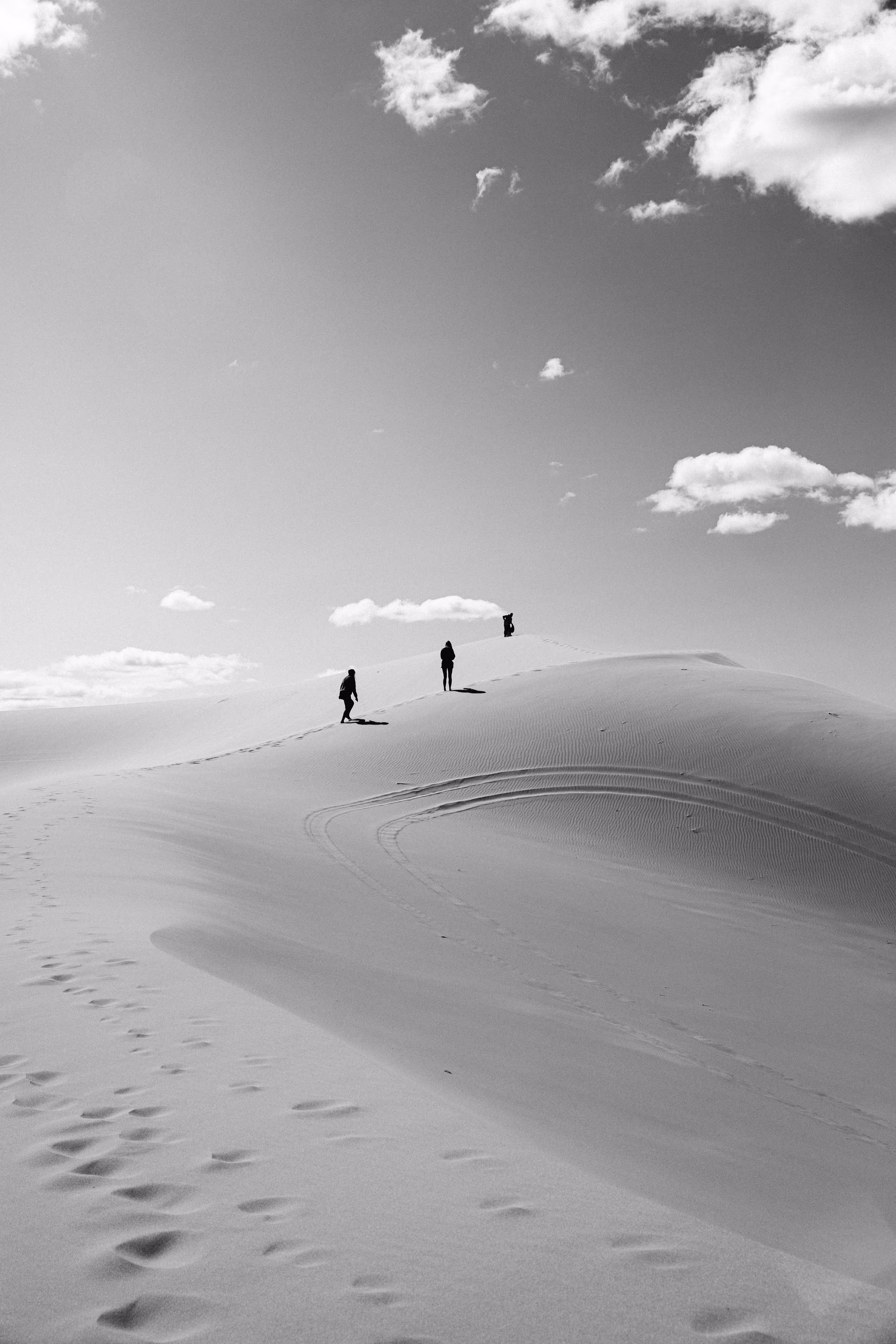 Coral Pink Sand Dunes 