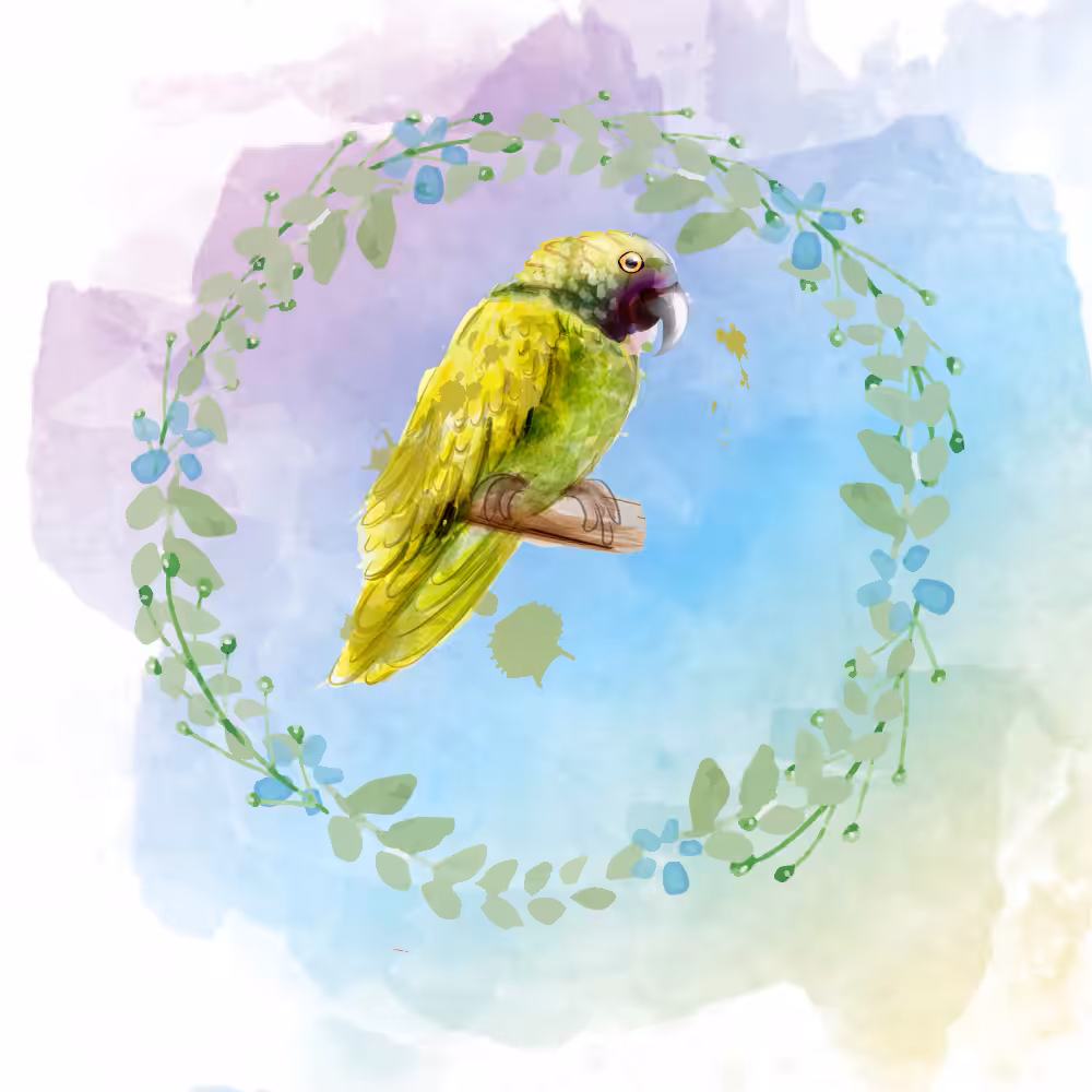 Random Tropical Birds #14