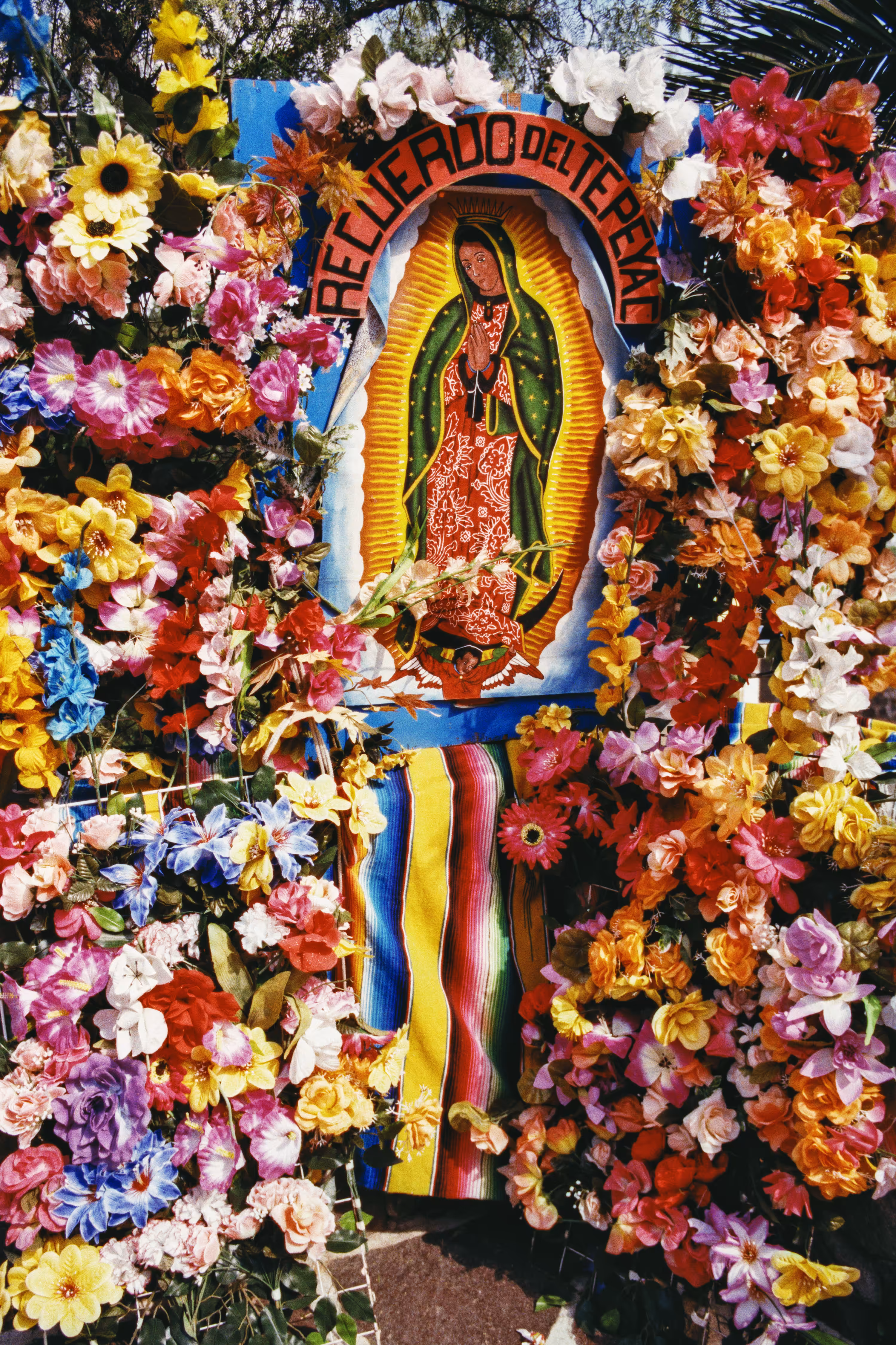 Guadalupe - Guadalupe en la Basilica