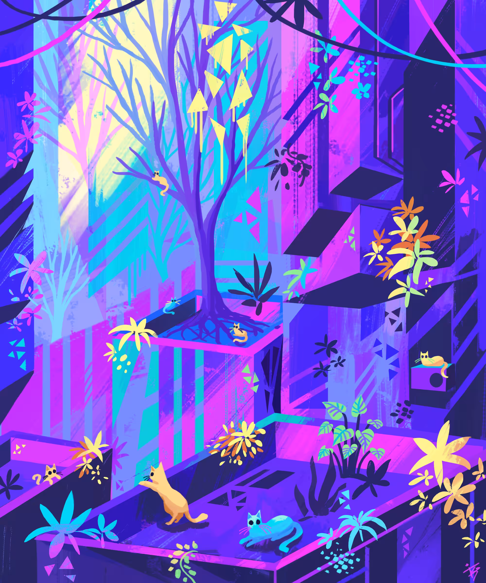 Summer Morning