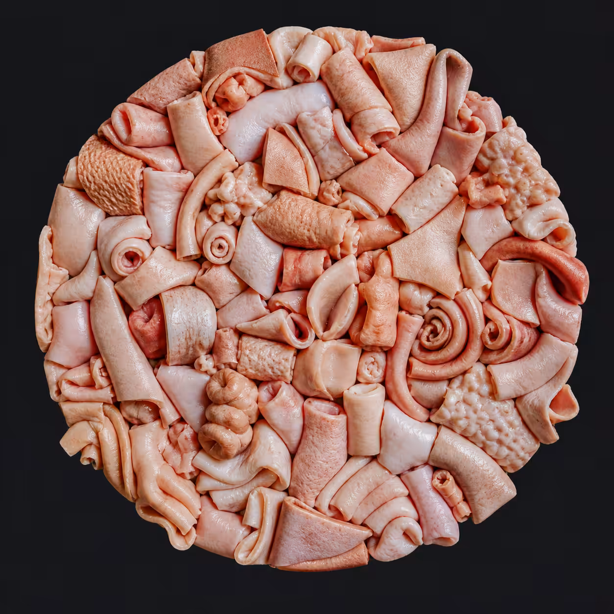 Extraction Ring: Pig Skin