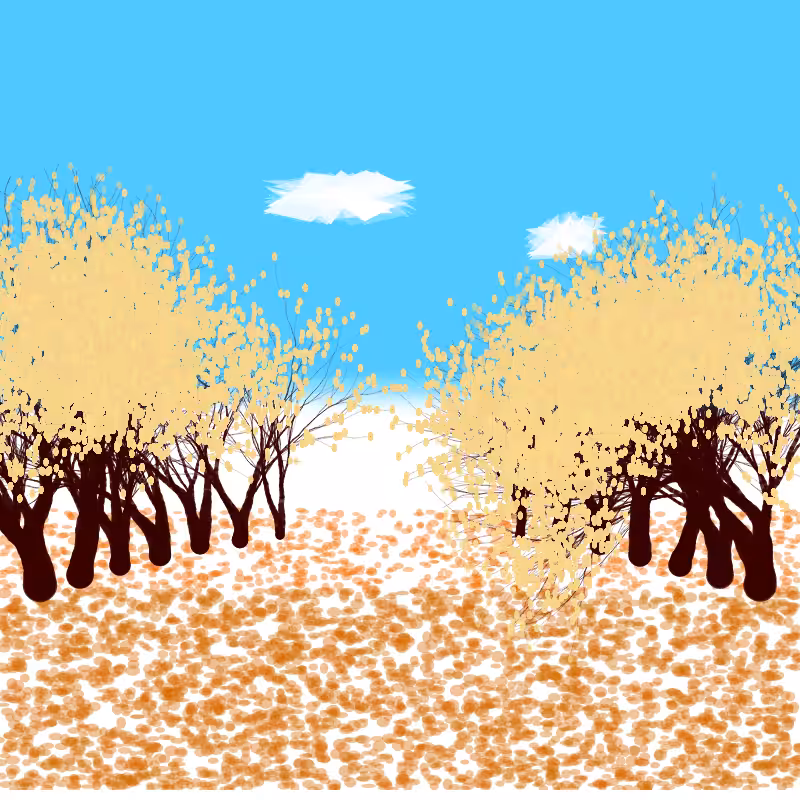 wind forest #4