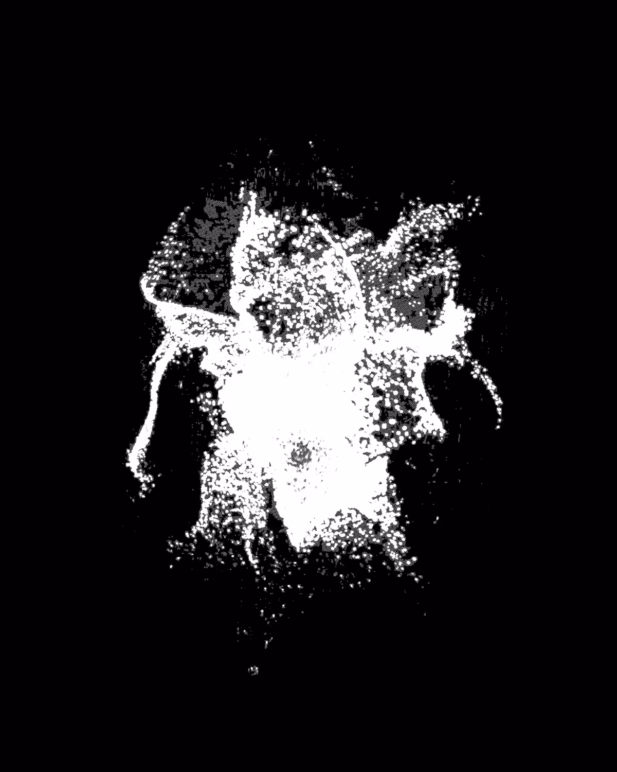 LOST SIGHT